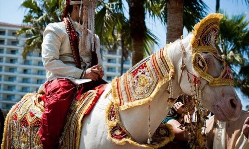Decorated horse for the groom